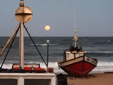 Los Nogales Punta Del Diablo Esterno foto